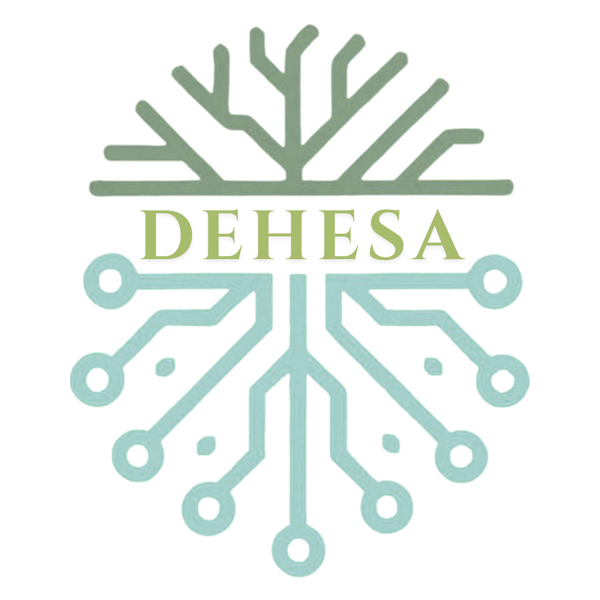 Dehesa Studio